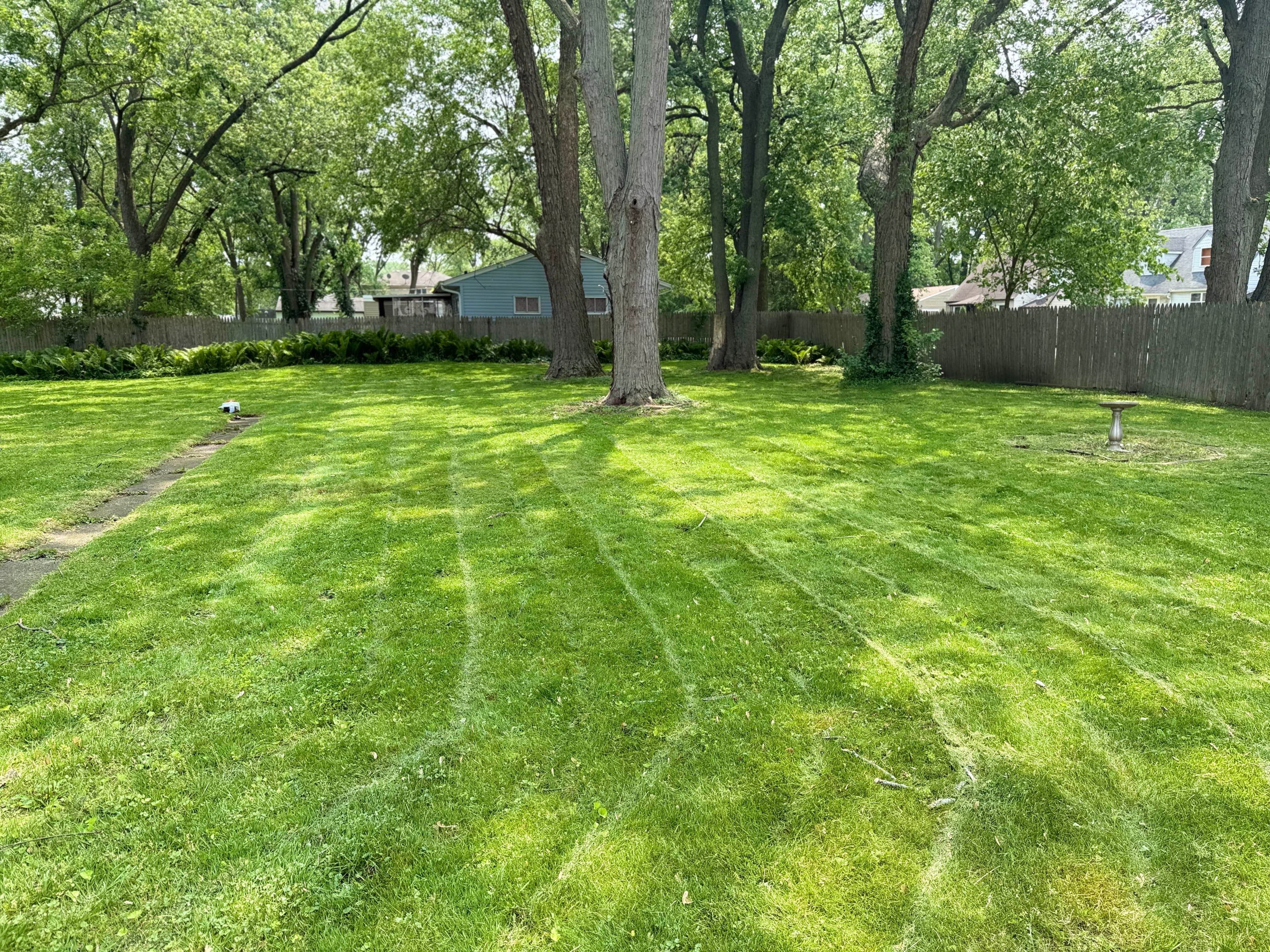Freshly mowed backyard with clean stripes